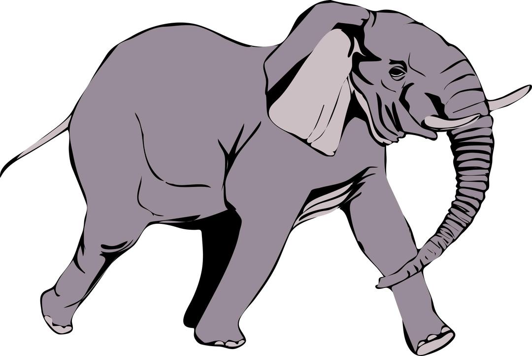 Architetto -- Elefante in corsa png transparent