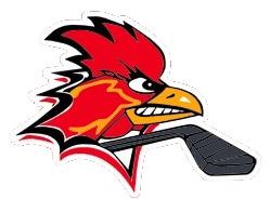 Charleroi Red Roosters Hockey Team Logo png transparent