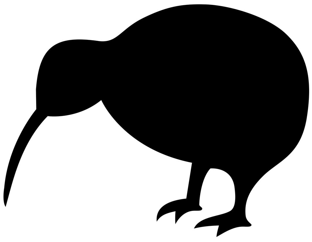 kiwi (bird) png transparent