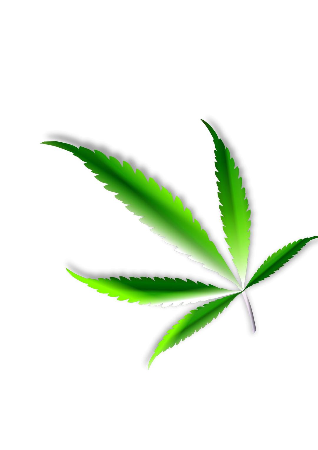  Cannabis leaf png transparent