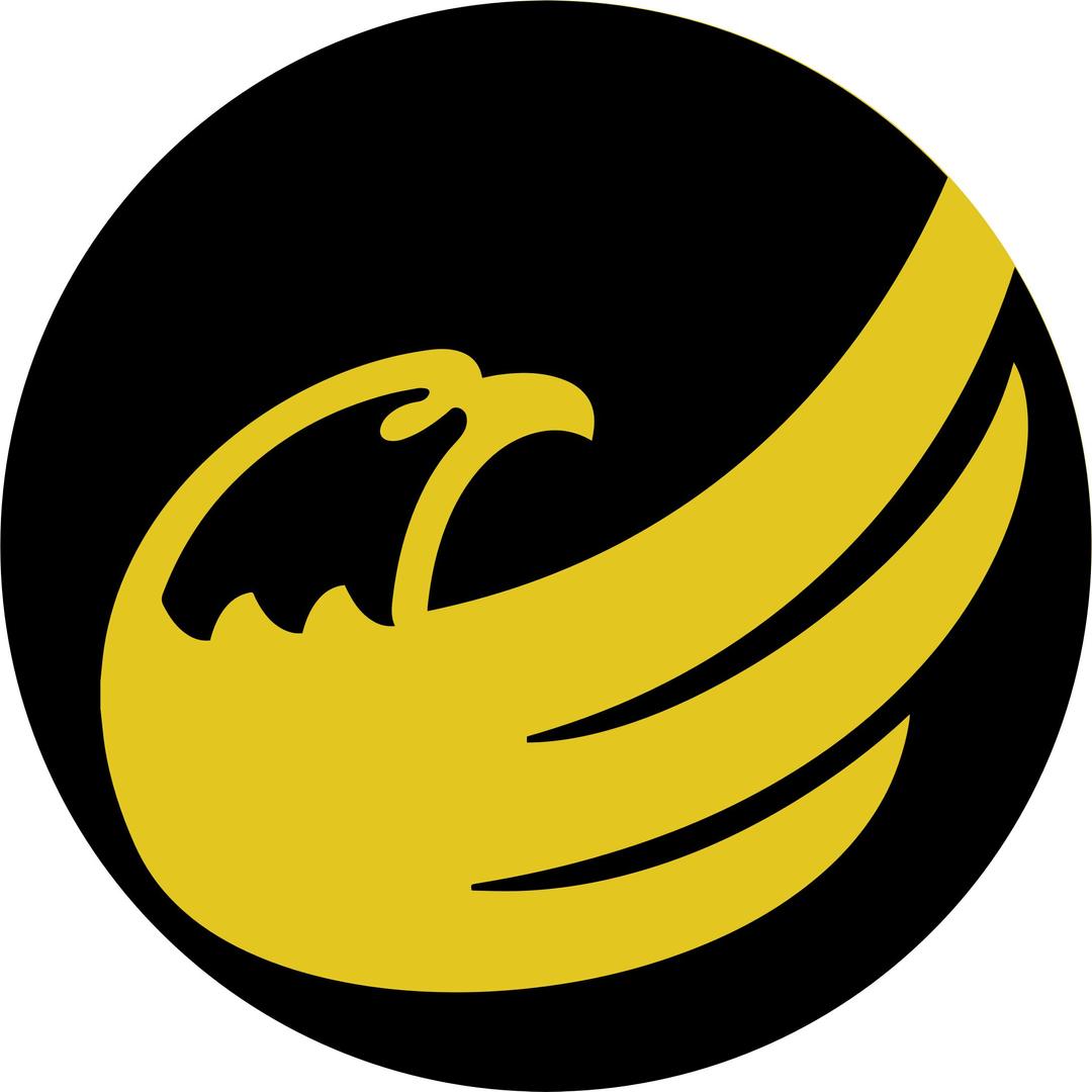  logo-circle: libertarian eagle remix - black on yellow png transparent