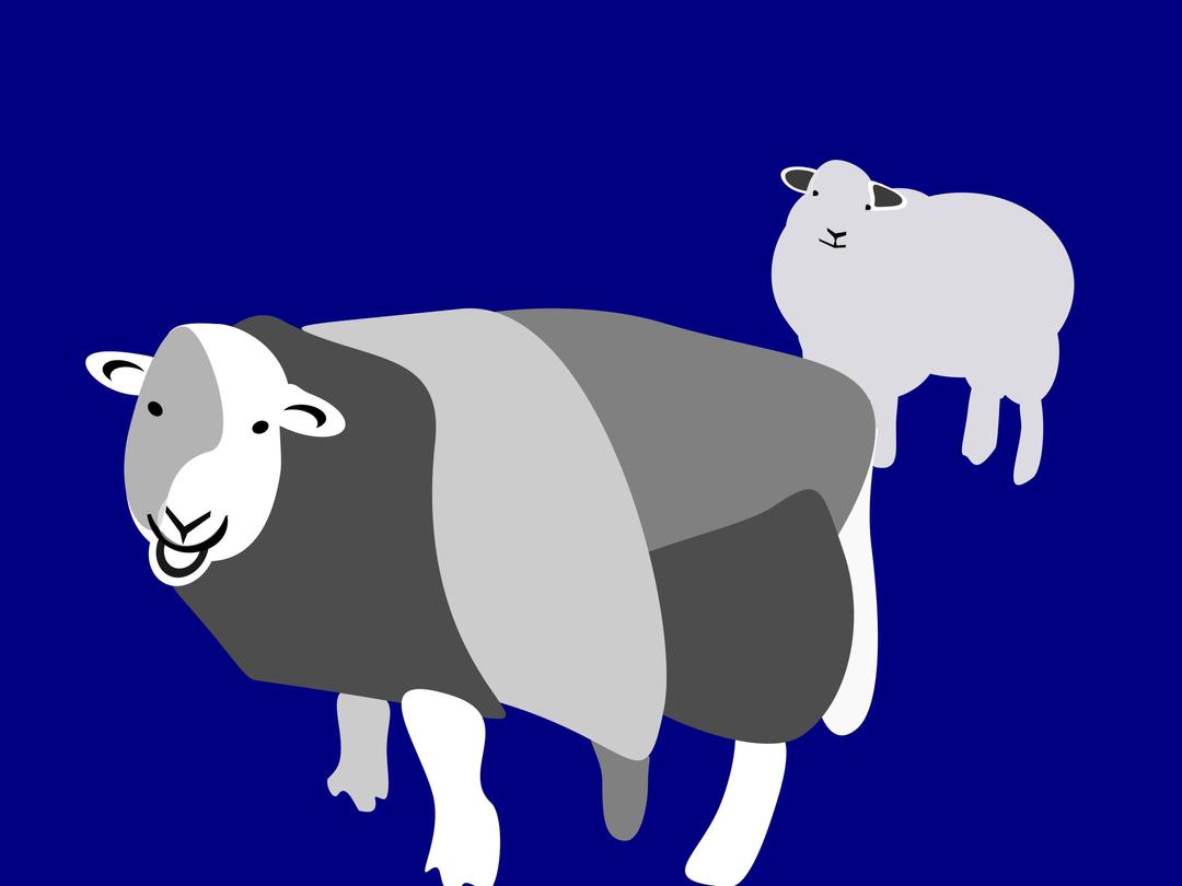 2 stehende Schafe png transparent
