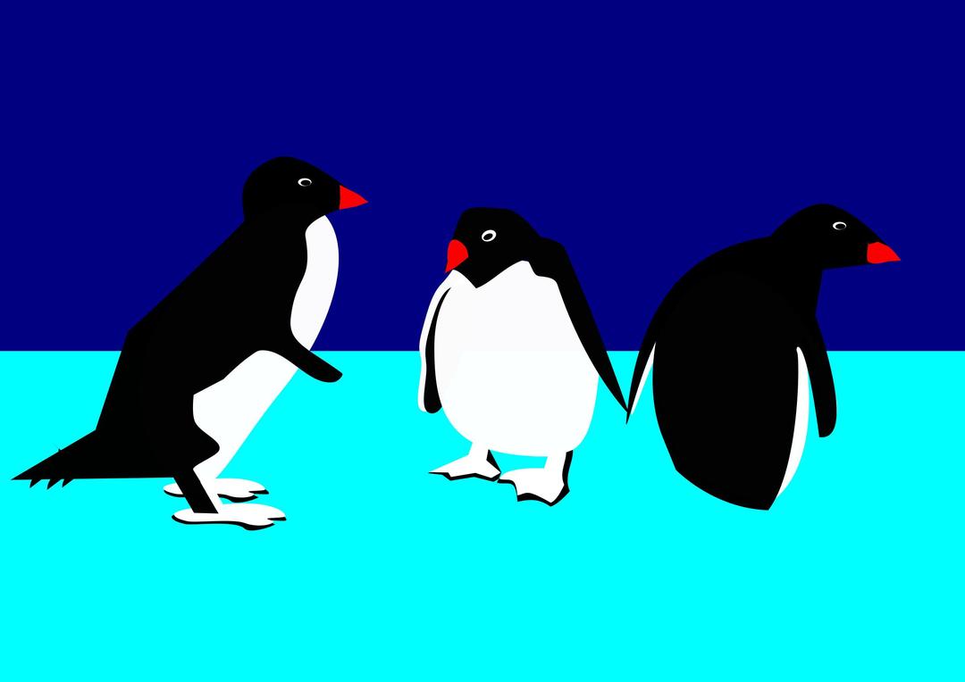 3 Pinguine auf Eis png transparent