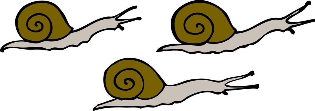 3 snails png transparent