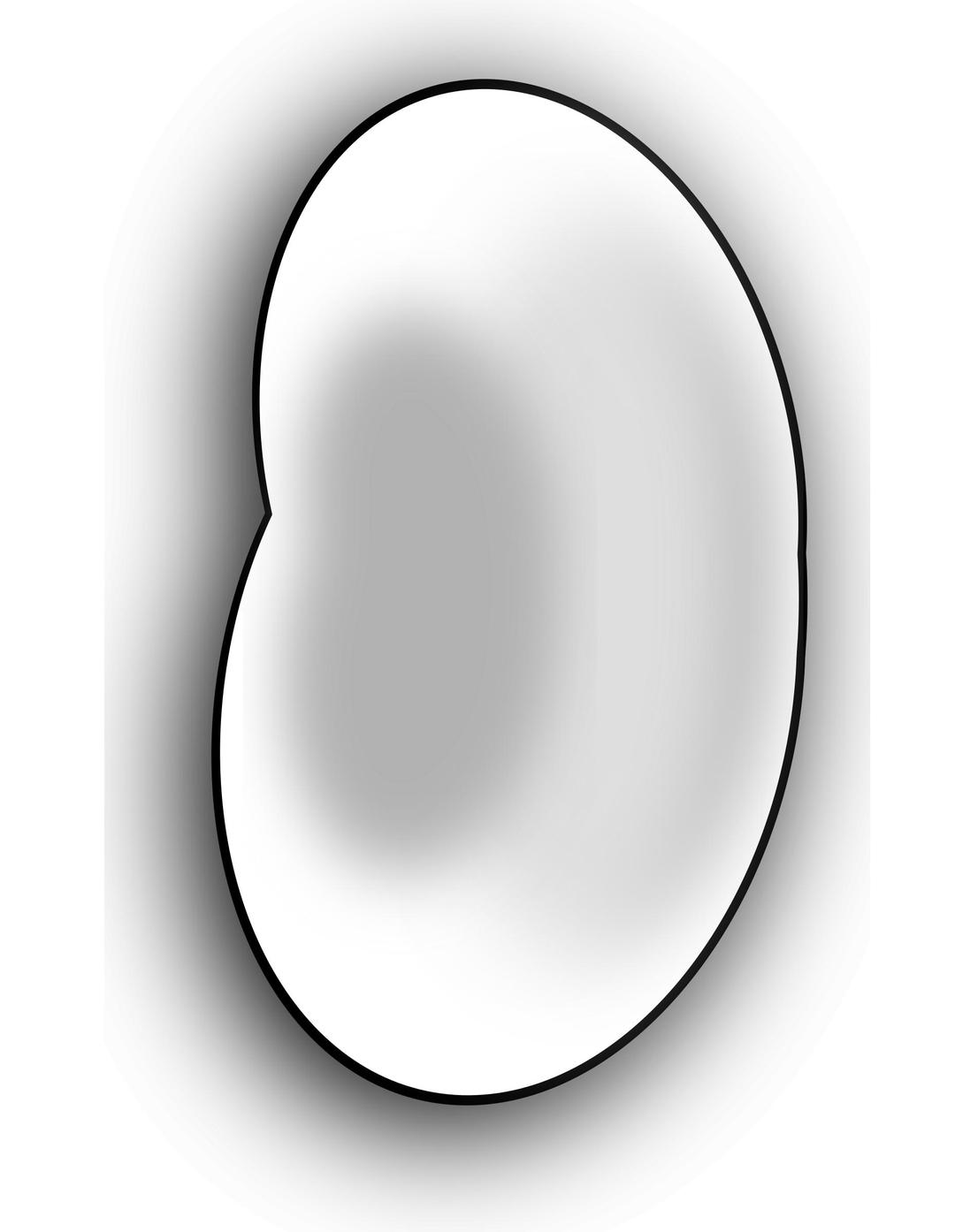 A bean png transparent