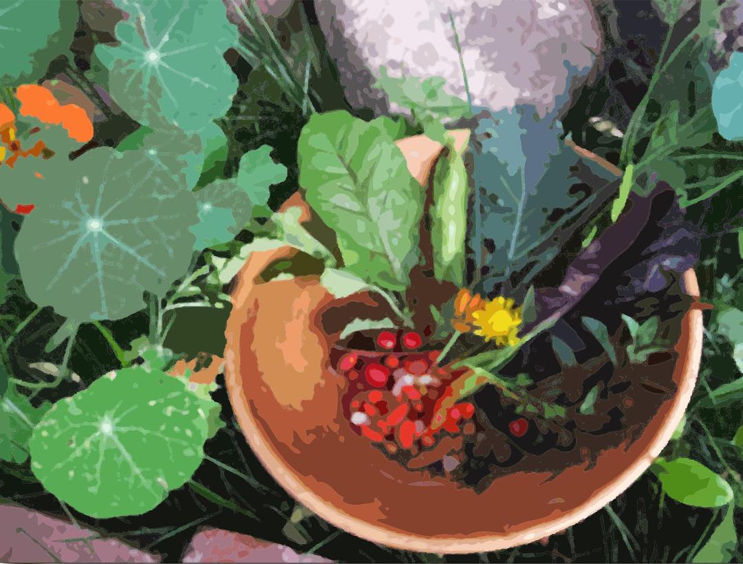 A bowl of flowers, berries and greens png transparent