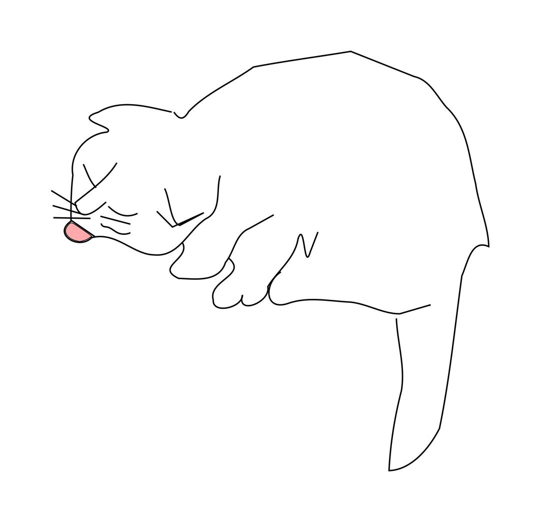 A cat drinks water. png transparent