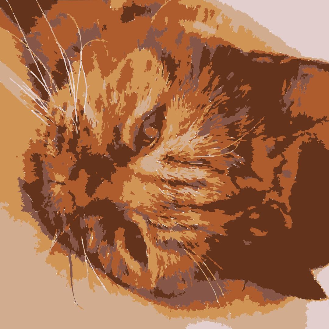 A cat in real life png transparent