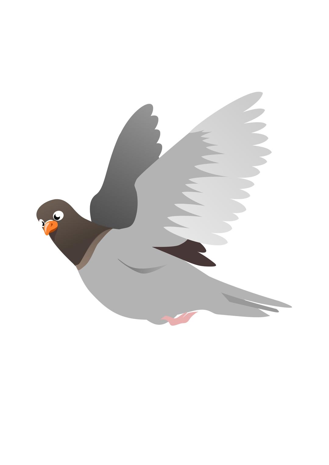 A Flying Pigeon png transparent