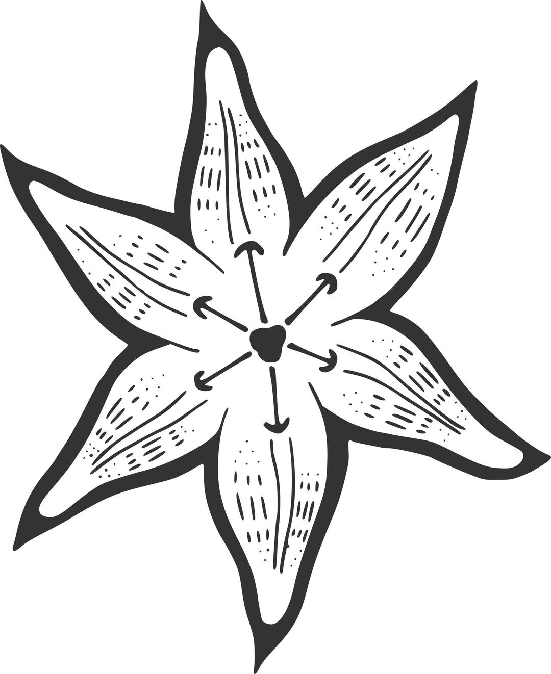 A Lily for Becky png transparent