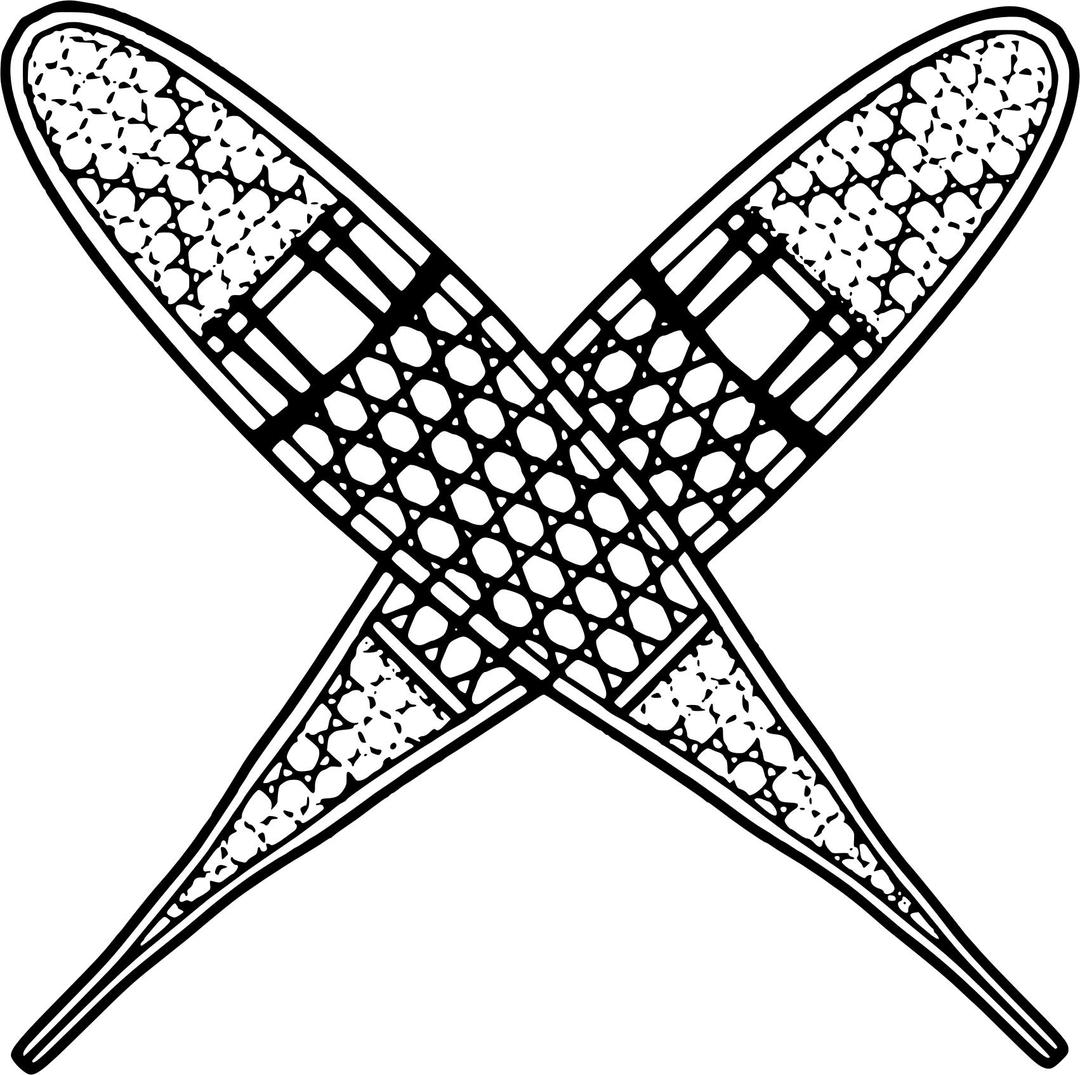 A pair of crossed snowshoes png transparent
