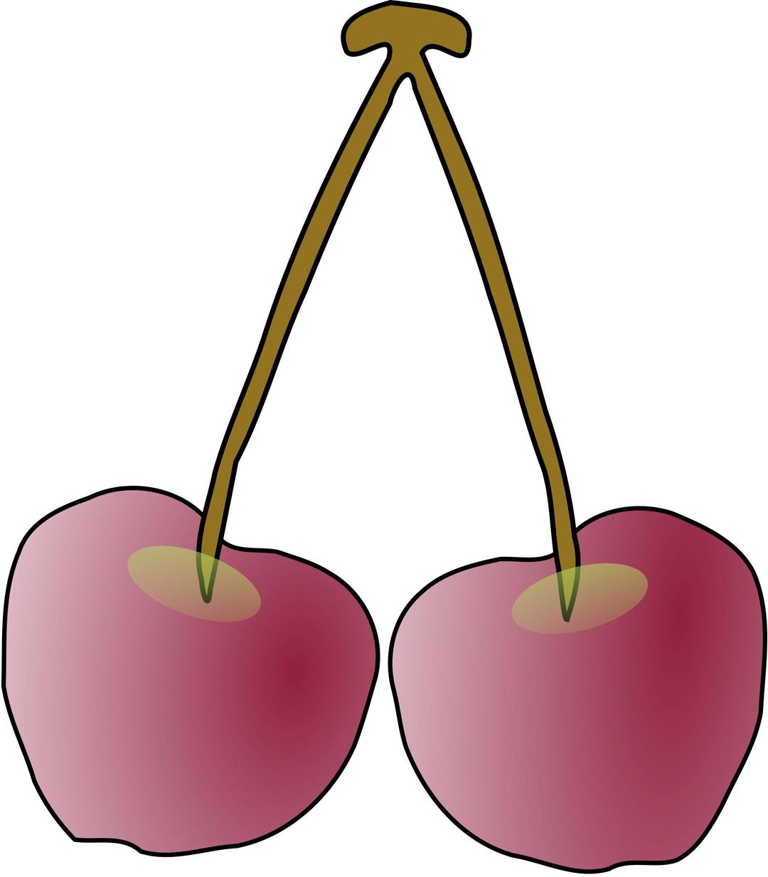 a pair of Oregon Columbia Gorge cherries png transparent