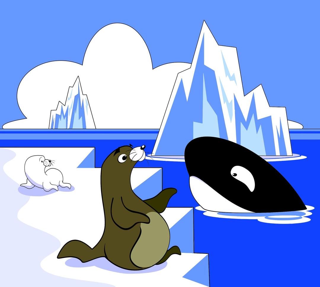 A Seal A Sea Lion And A Killer Whale png transparent