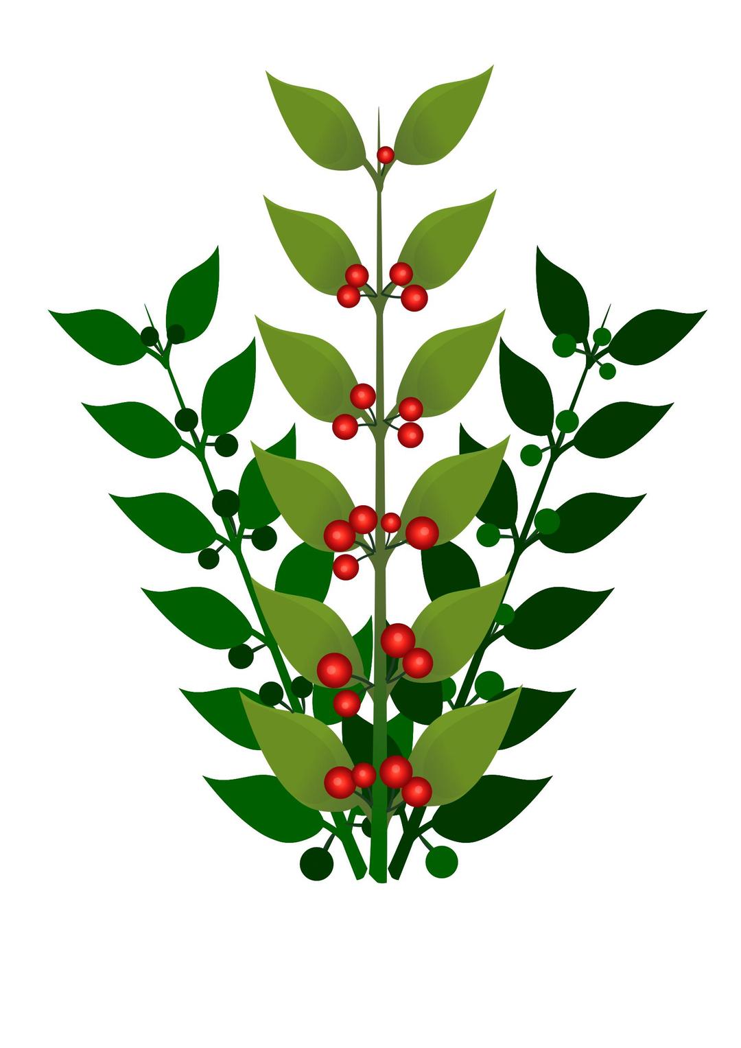A simple branch with berries png transparent