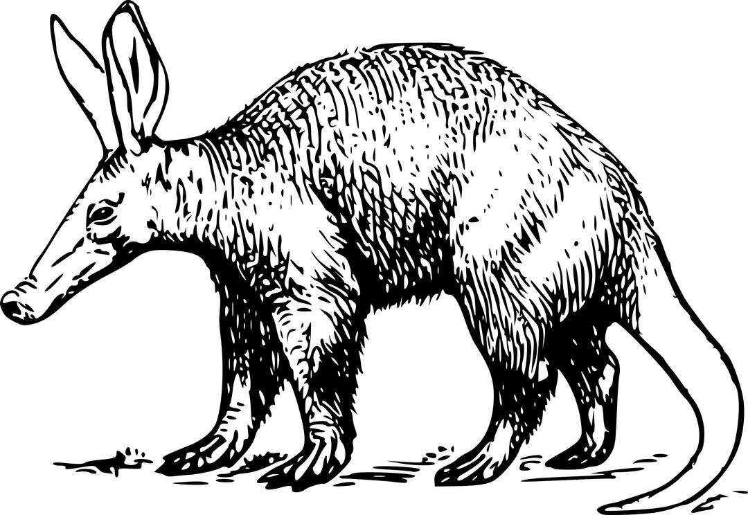 Aardvark png transparent