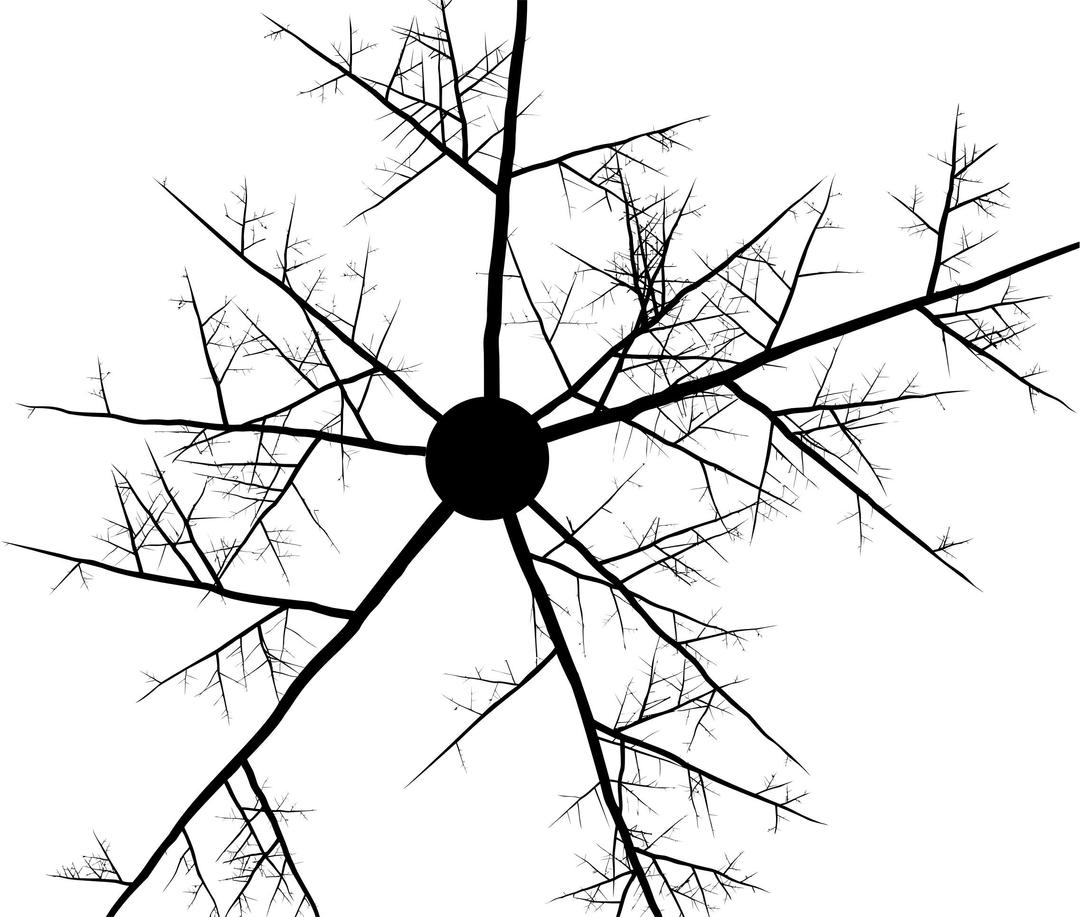 Abstract Branches png transparent