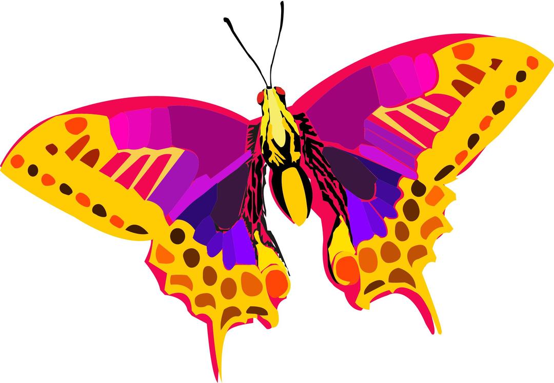 Abstract Colorful Butterfly png transparent