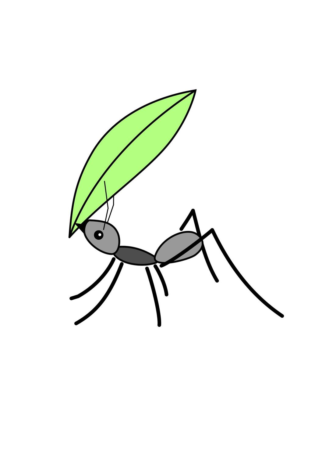 Acromyrmex (Ant) png transparent