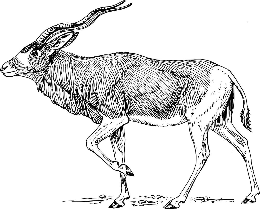 addax antelope png transparent