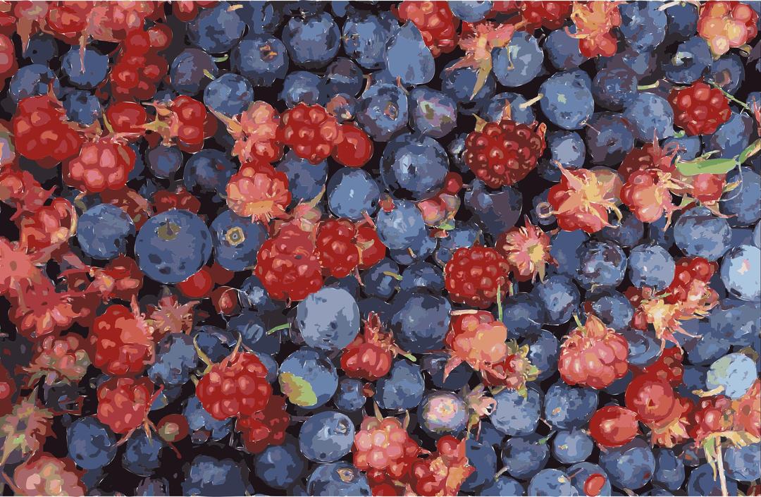 Alaska wild berries png transparent