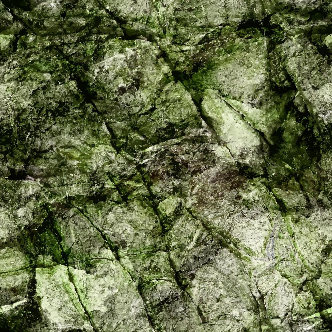 Algae-covered rock face 2 png transparent