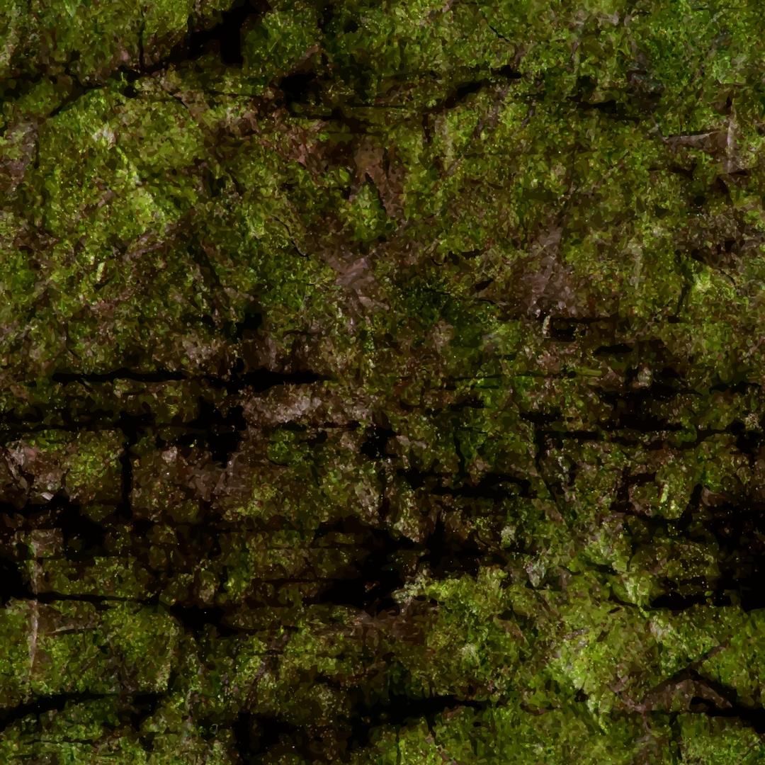Algae-covered rock face 3 png transparent