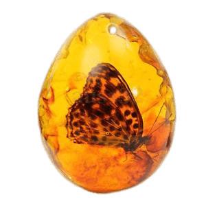 Amber Pendant With Butterfly png transparent