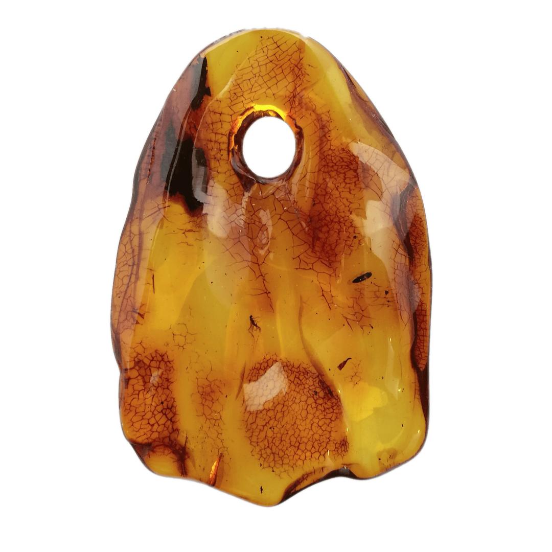 Amber Pendant With Small Insect png transparent