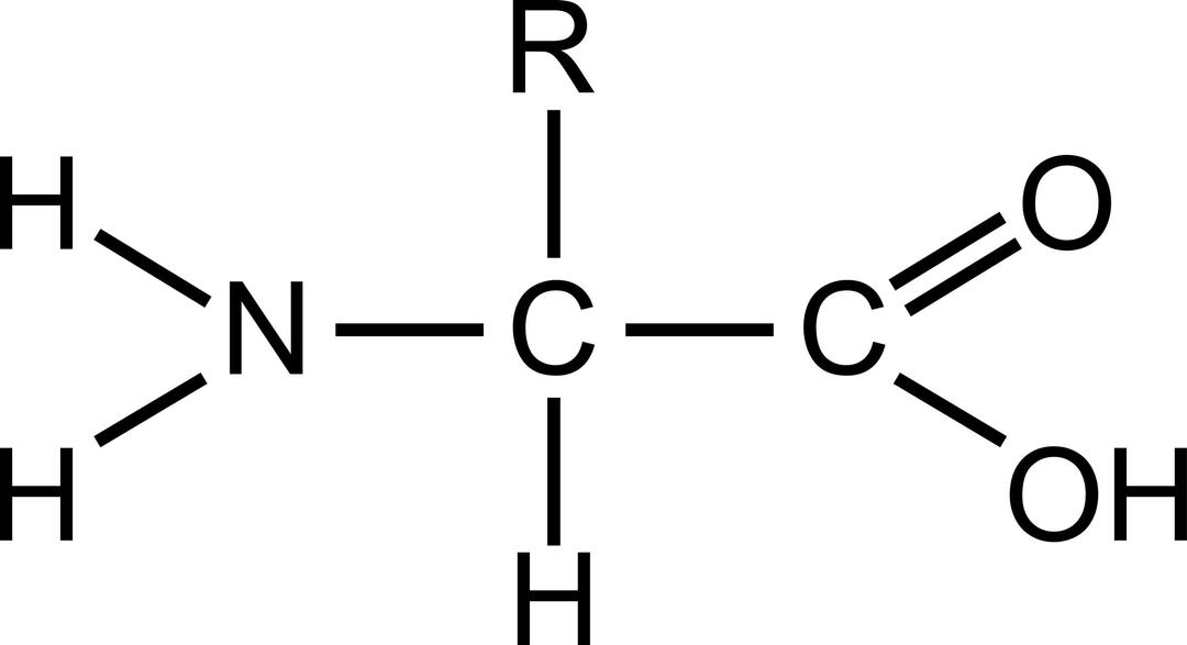 Amino acid (general) png transparent