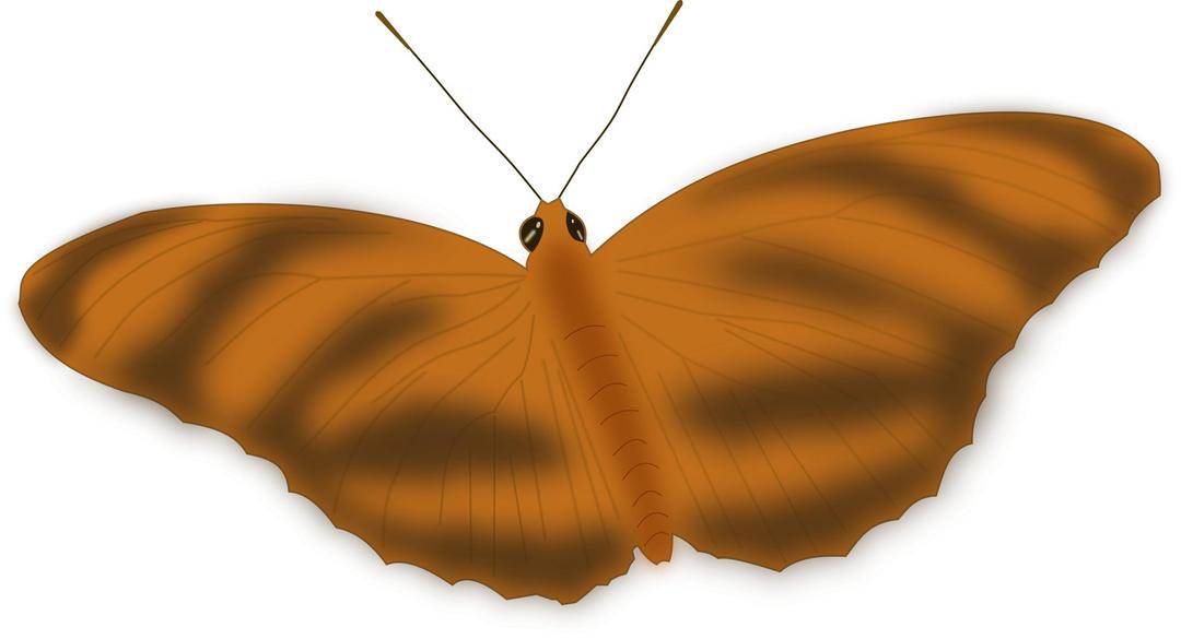 An Ethereal Butterfly png transparent