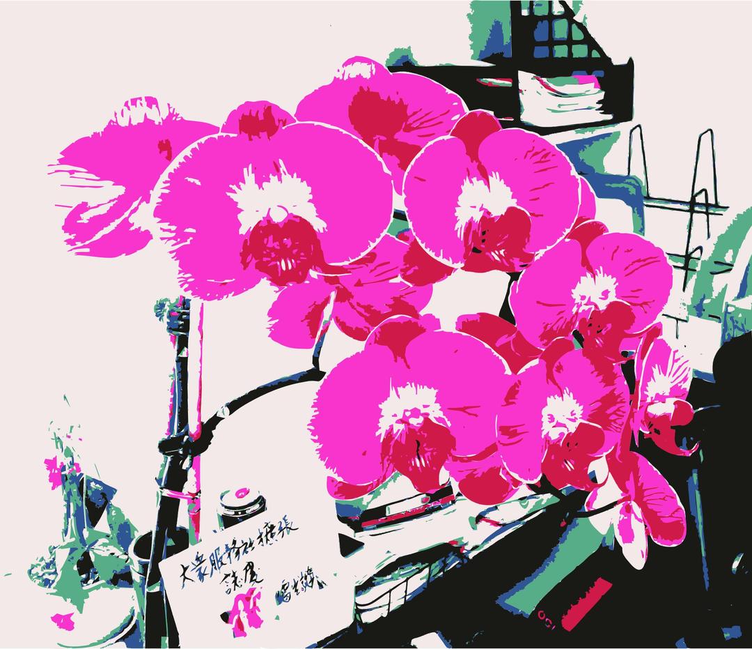 An orchid for jilllio png transparent