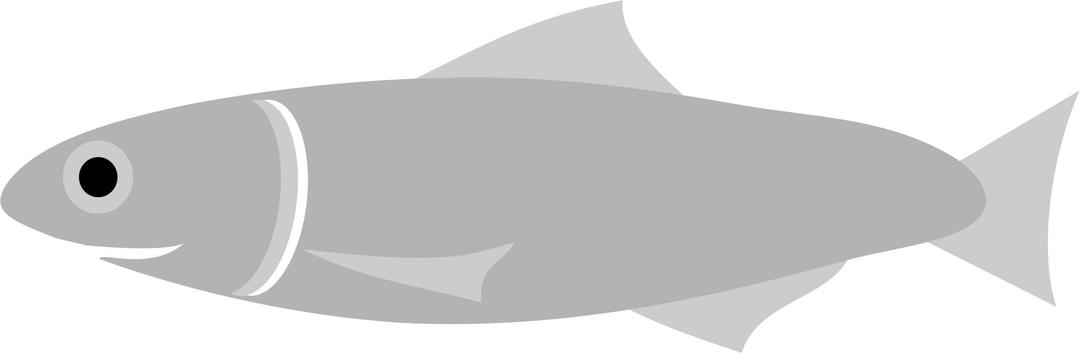 Anchovy Fish png transparent