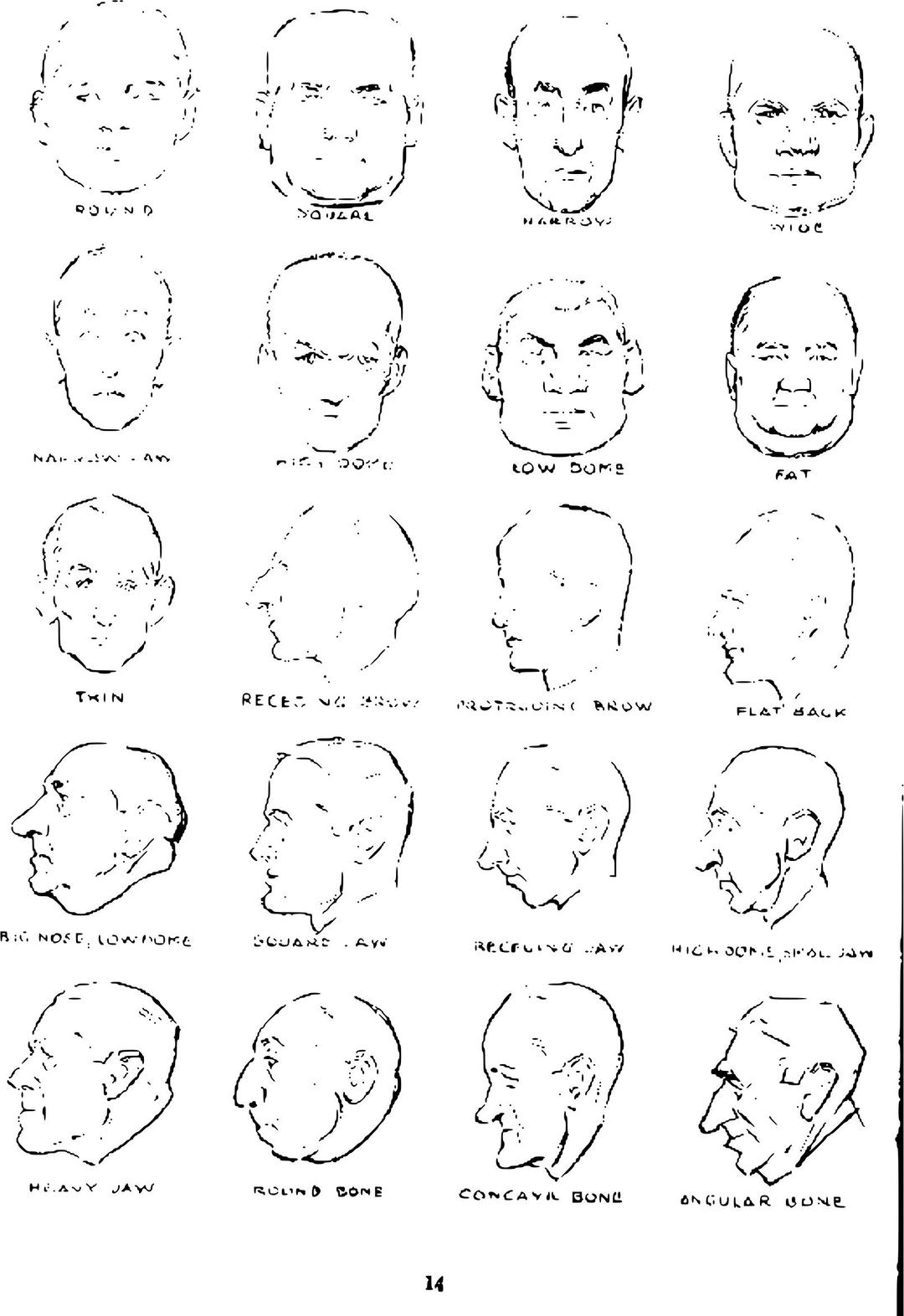 Andrew Loomis Drawing the Head and Hands (potrace) 10 png transparent