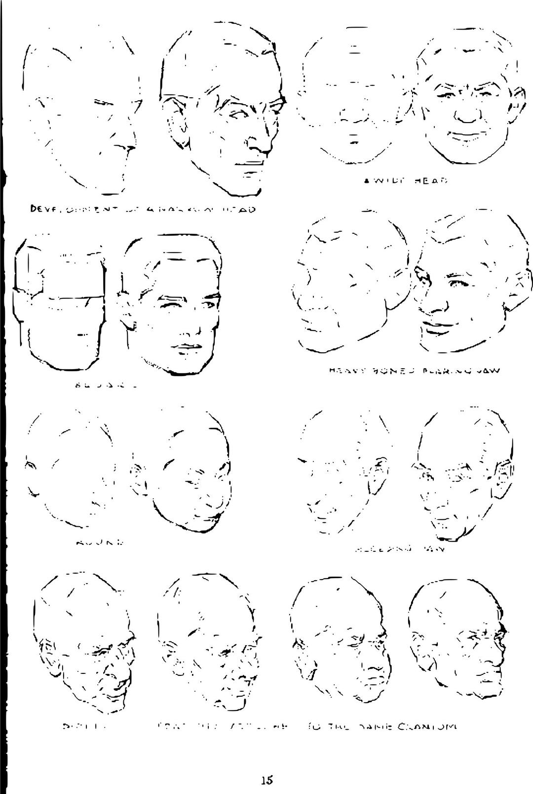 Andrew Loomis Drawing the Head and Hands (potrace) 11 png transparent