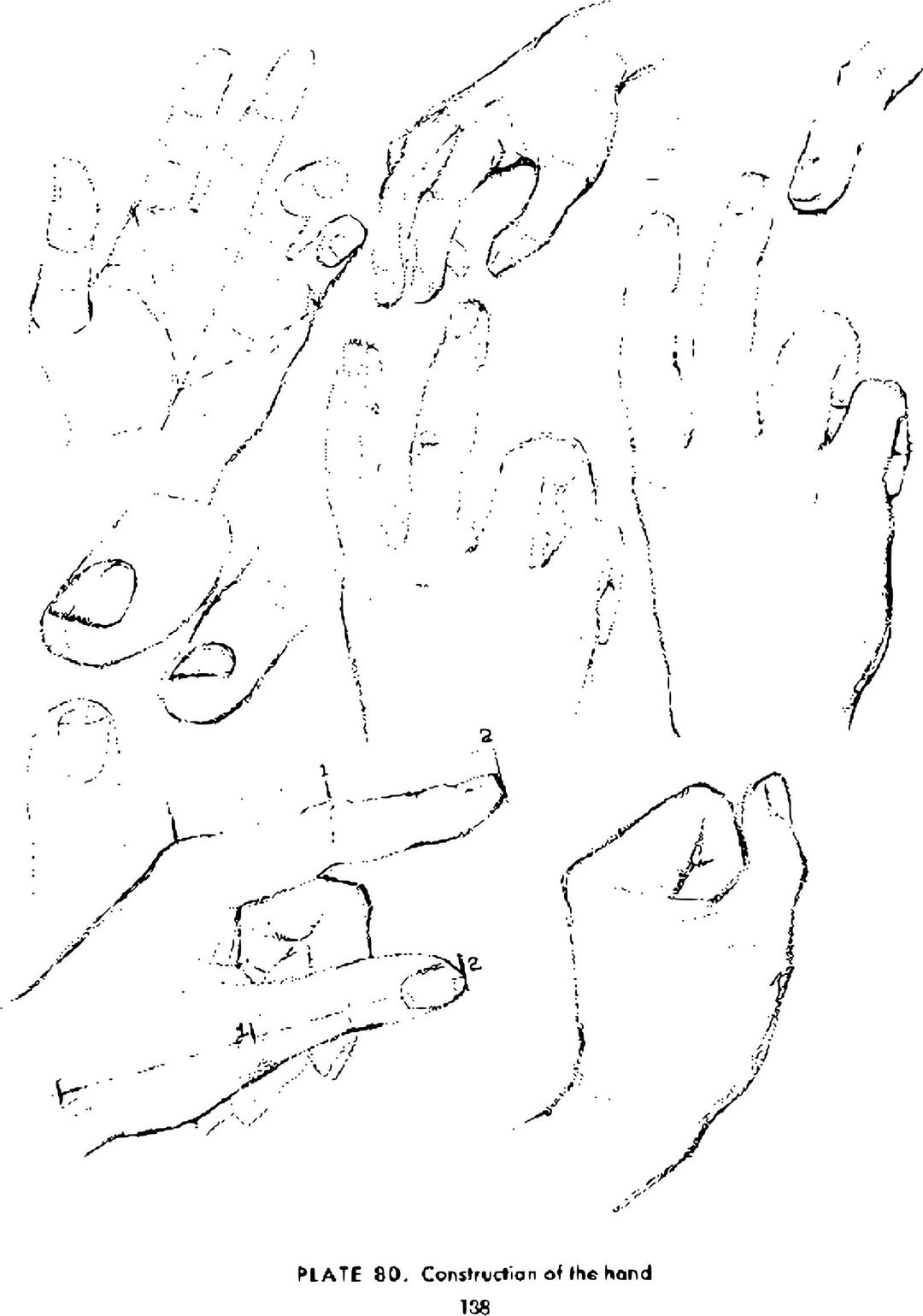 Andrew Loomis Drawing the Head and Hands (potrace) 125 png transparent