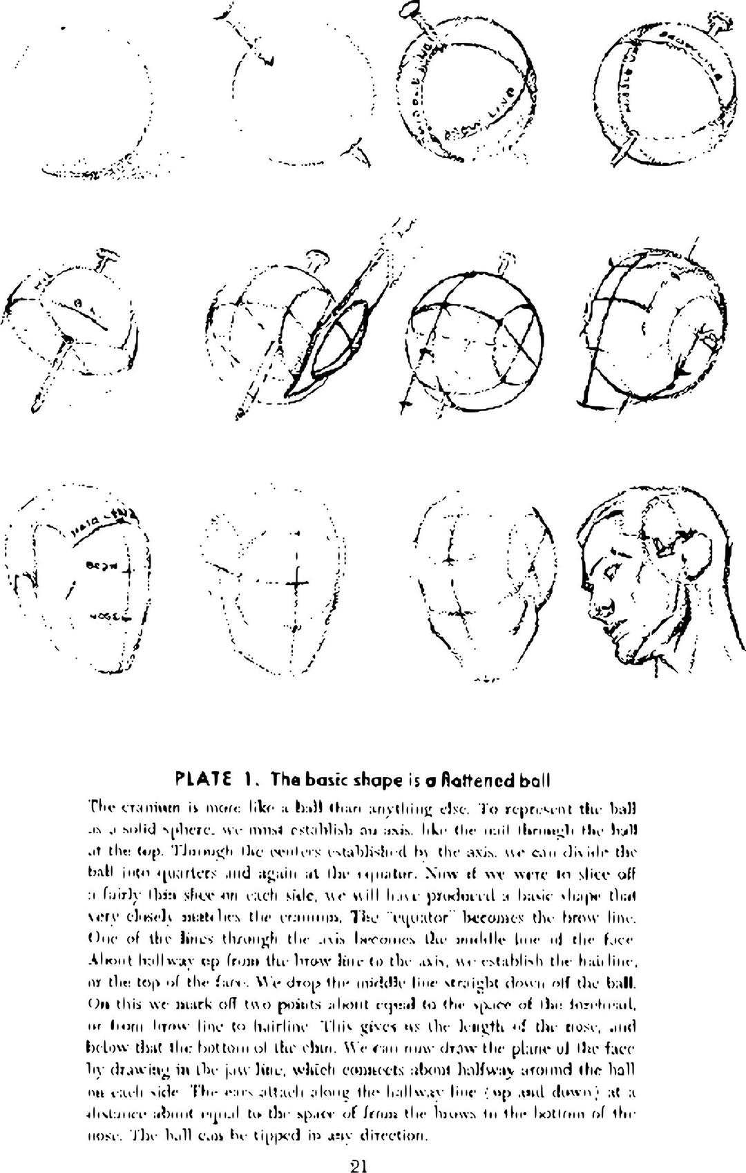 Andrew Loomis Drawing the Head and Hands (potrace) 16 png transparent