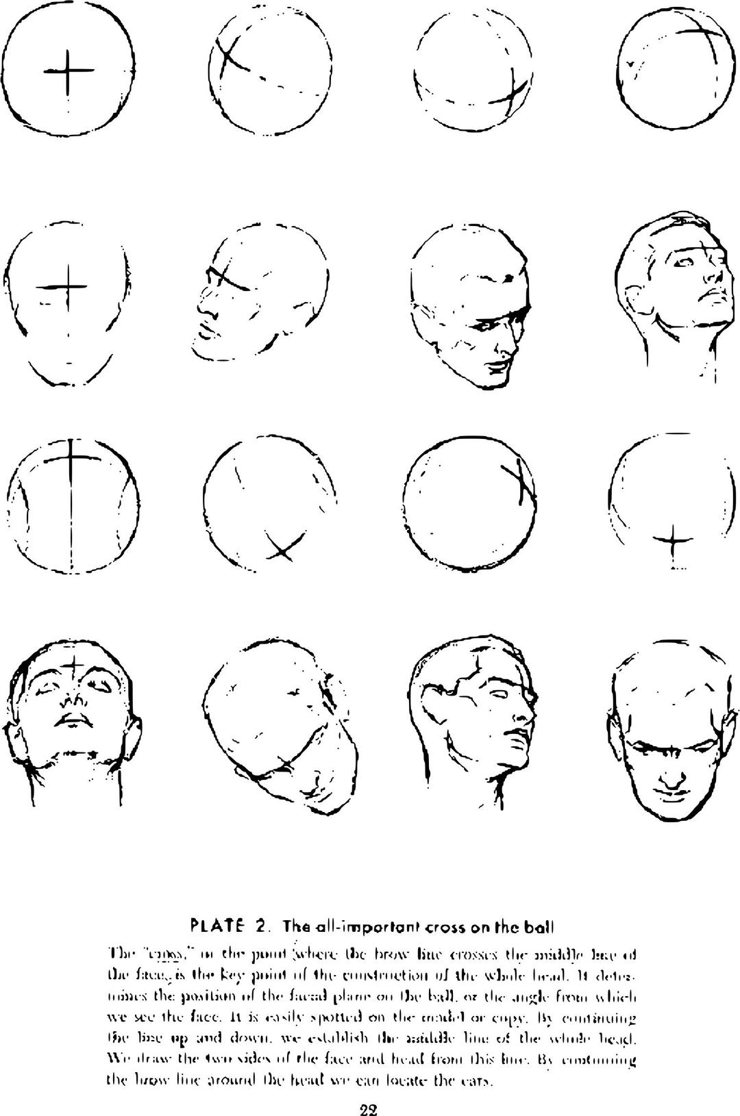 Andrew Loomis Drawing the Head and Hands (potrace) 17 png transparent