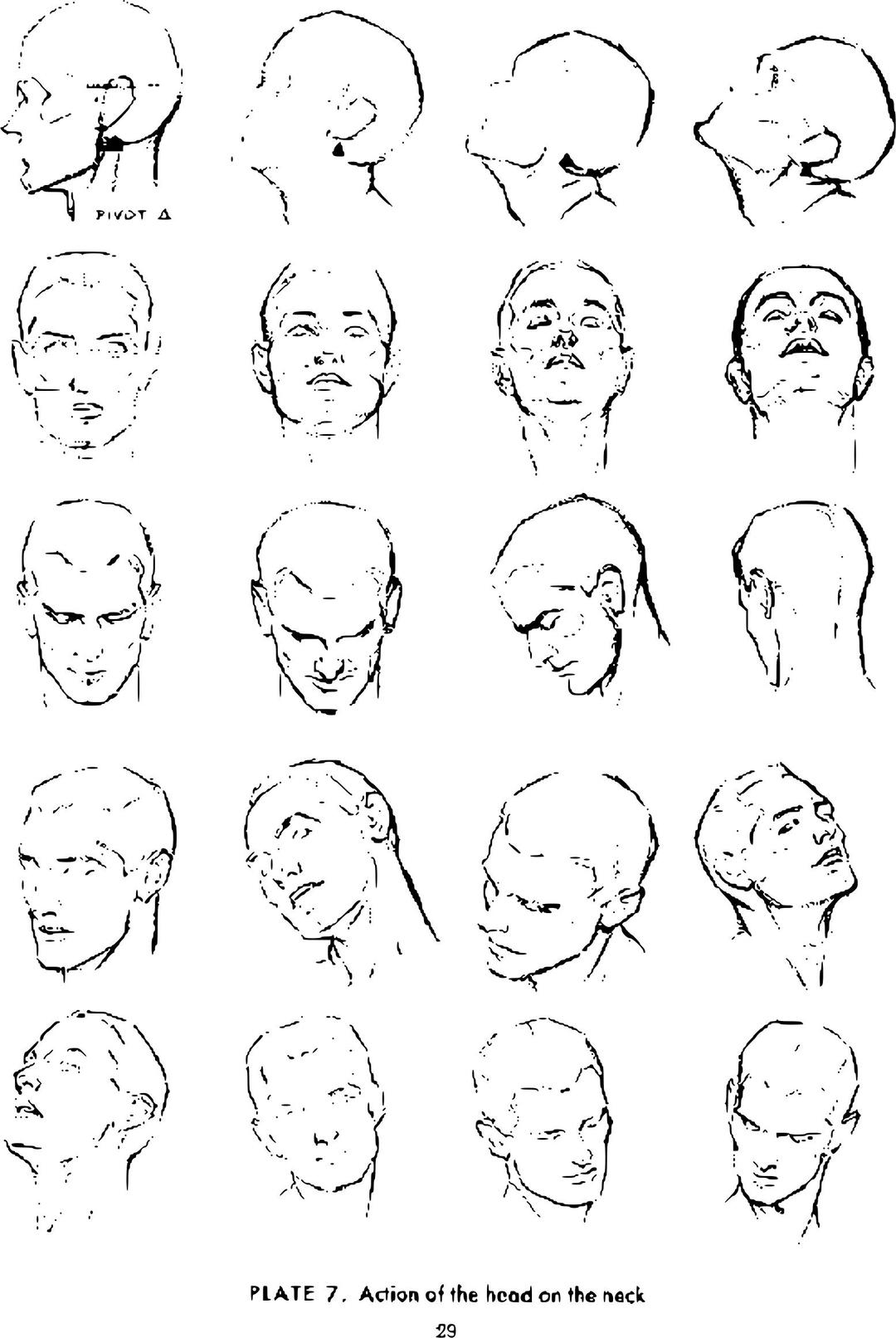 Andrew Loomis Drawing the Head and Hands (potrace) 24 png transparent