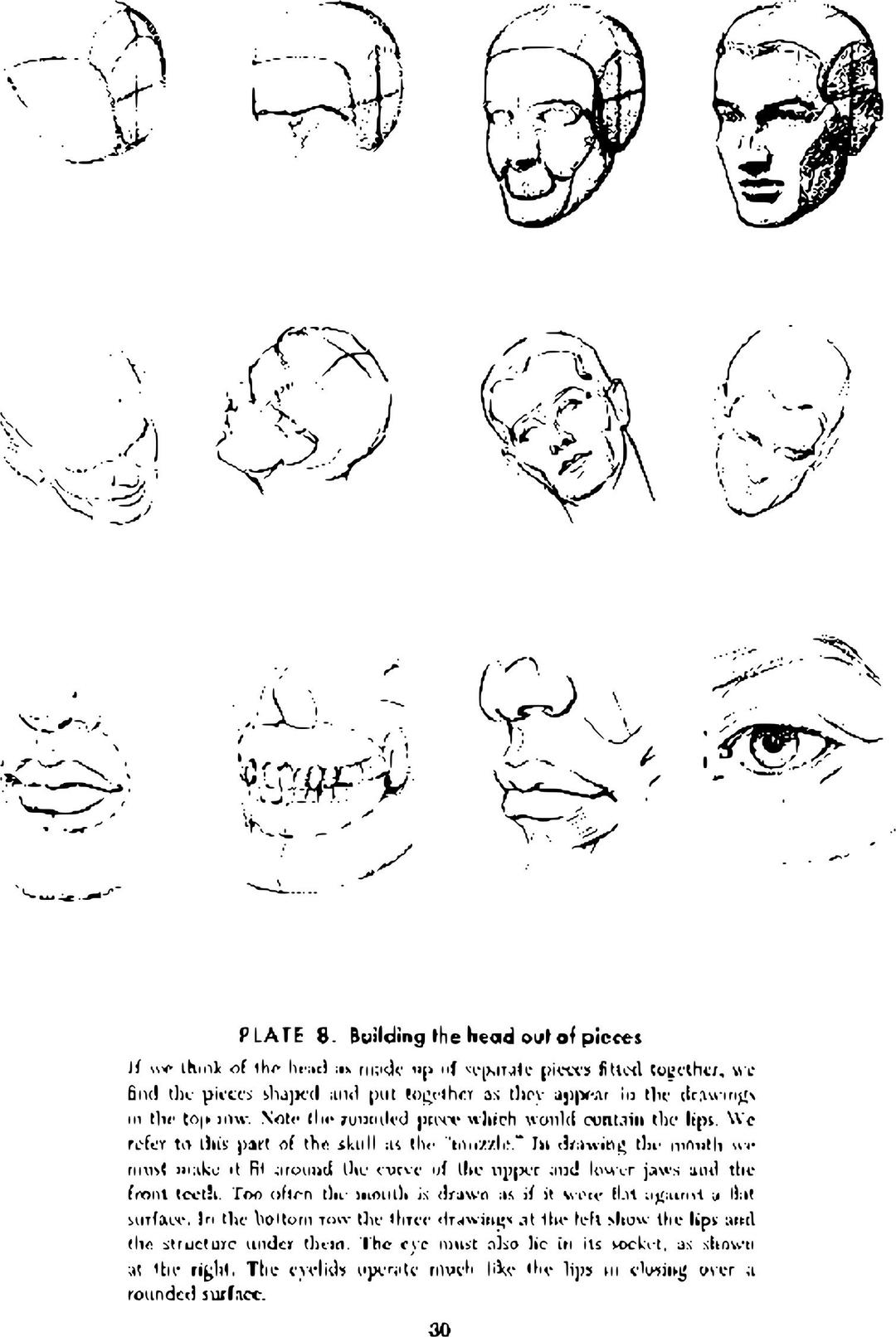 Andrew Loomis Drawing the Head and Hands (potrace) 25 png transparent