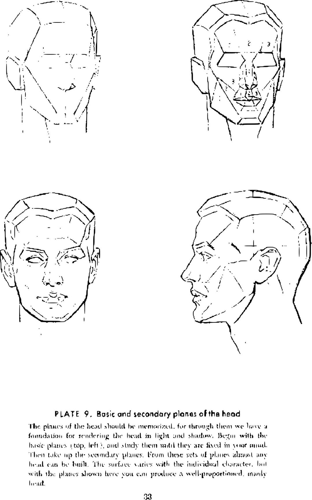 Andrew Loomis Drawing the Head and Hands (potrace) 28 png transparent