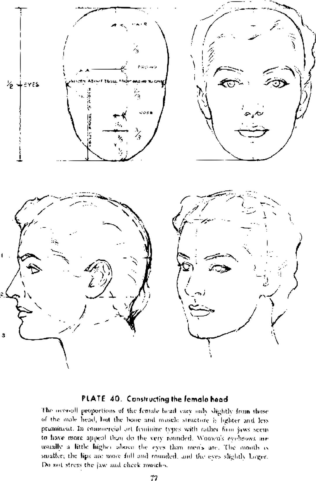 Andrew Loomis Drawing the Head and Hands (potrace) 70 png transparent