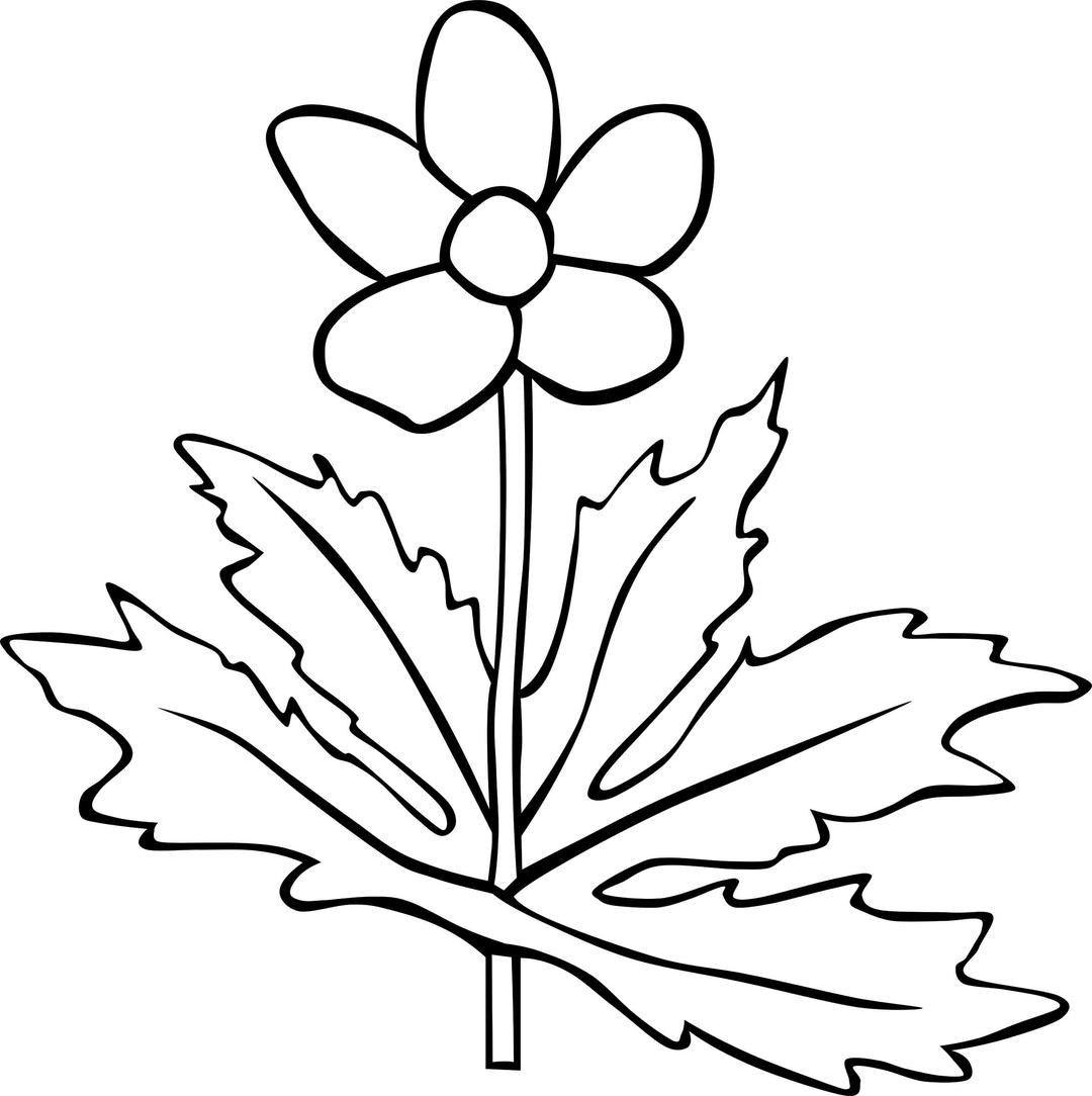 Anemone Canadensis Flower Outline png transparent