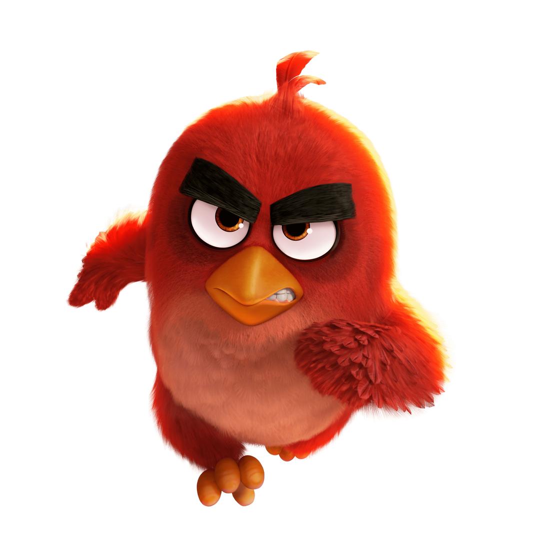 Angry Birds Movie Running Red Bird png transparent