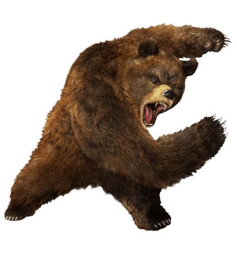 Angry Fighting Bear png transparent