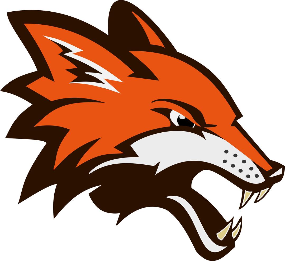Angry Fighting Fox - Remix png transparent