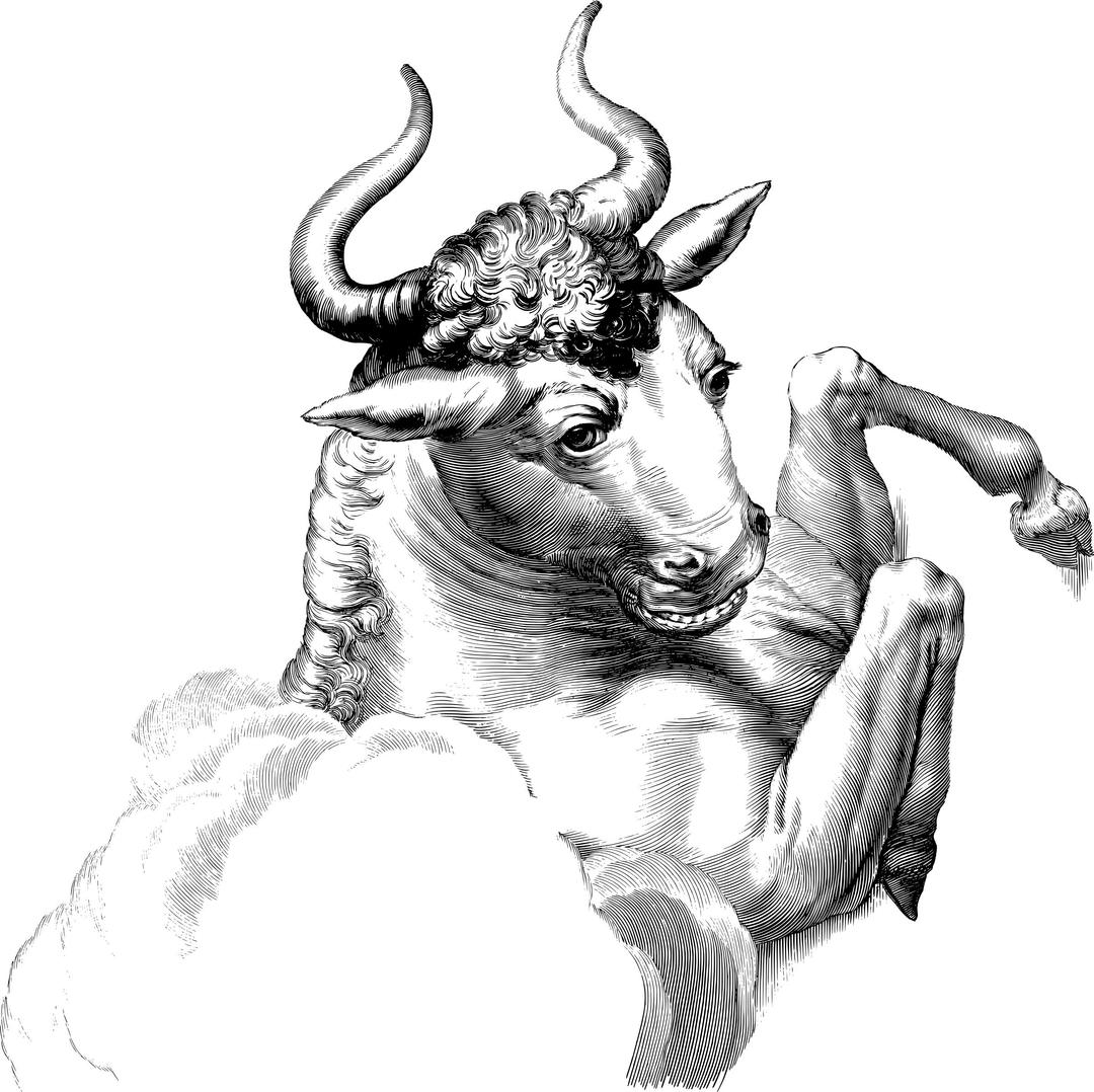 Animal with Horns png transparent