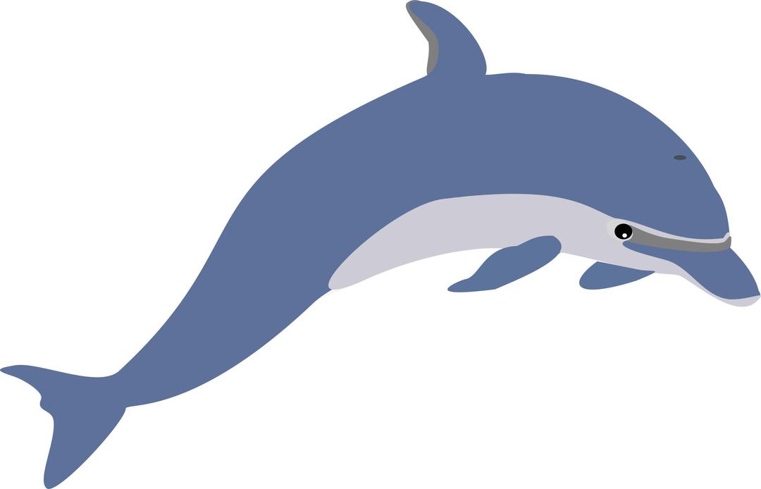 Another dolphin png transparent