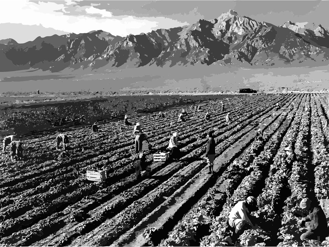 Ansel Adams - Farm workers and Mt. Williamson png transparent