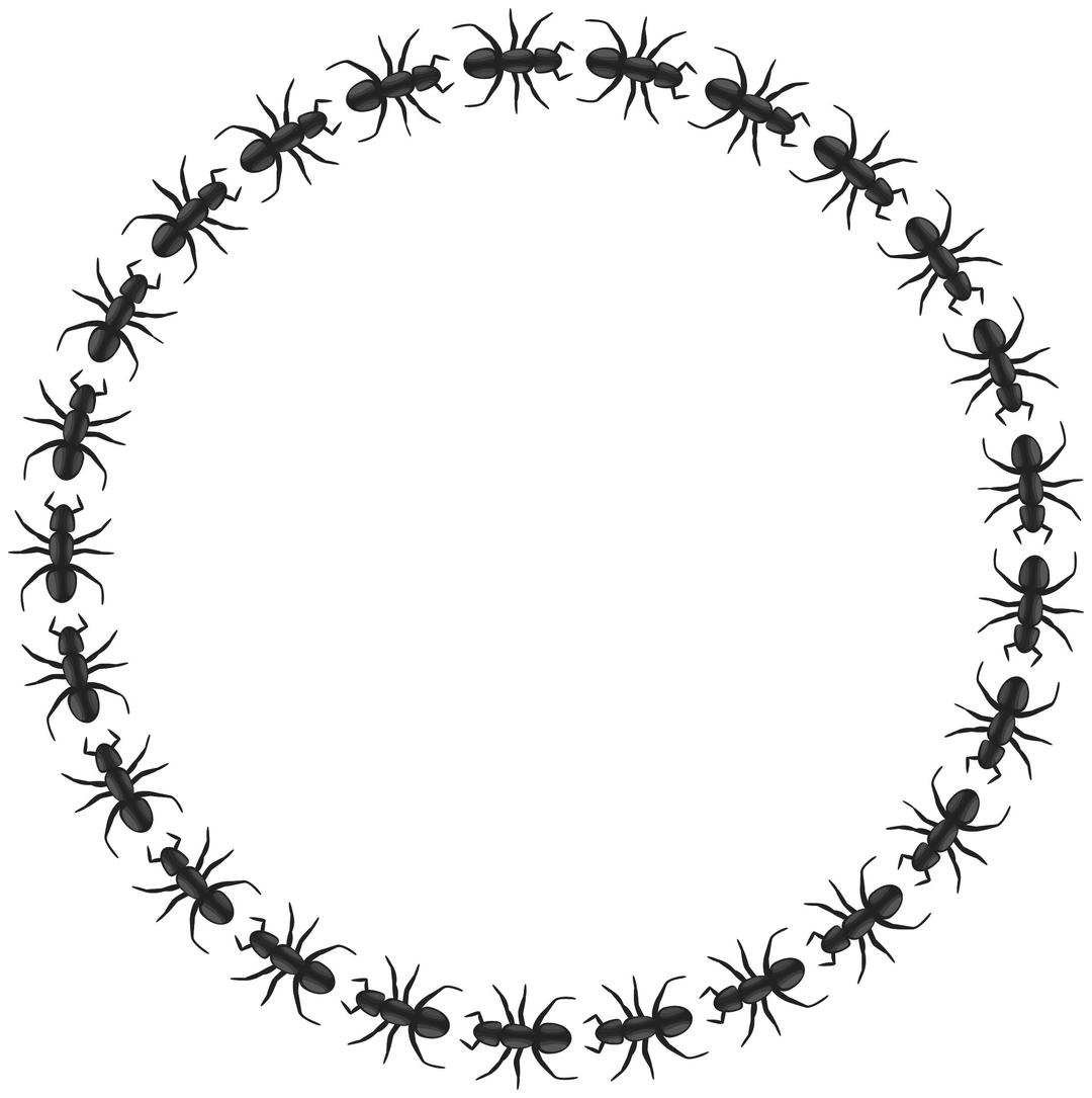 ant border circle png transparent