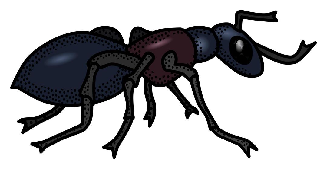 ant - coloured png transparent